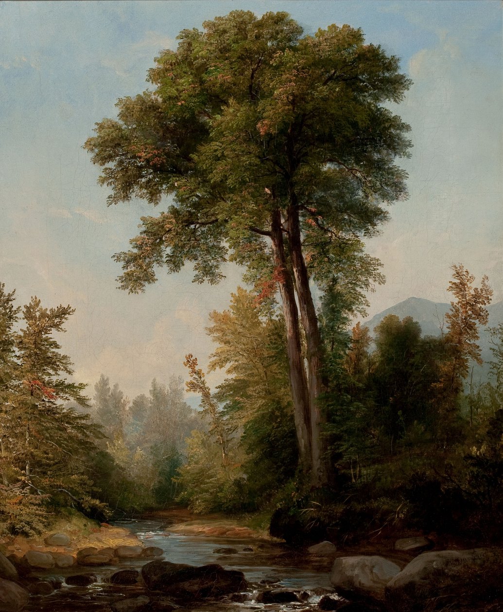 Naturalny monarcha autorstwa Asher Brown Durand