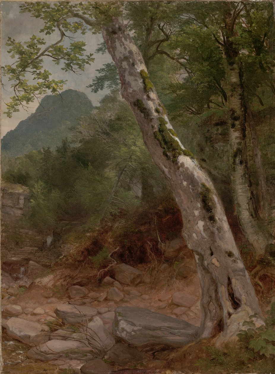 Platan, Plaaterkill Clove (Platan, Kaaterskill Clove) autorstwa Asher Brown Durand