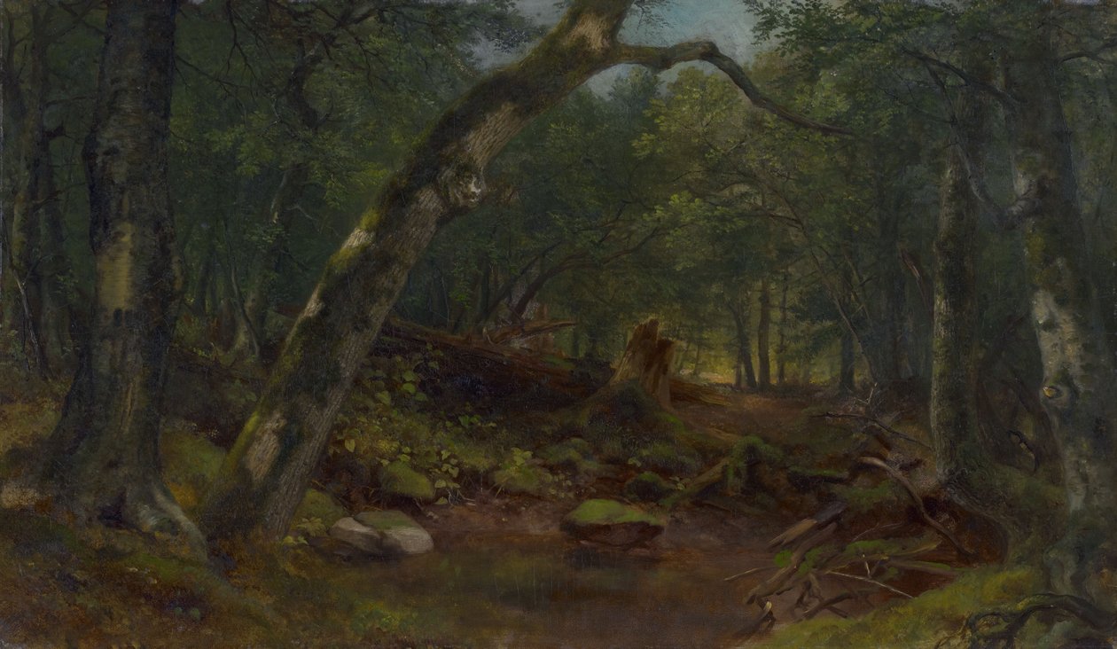 Ulica Artystów po ulewie autorstwa Asher Brown Durand