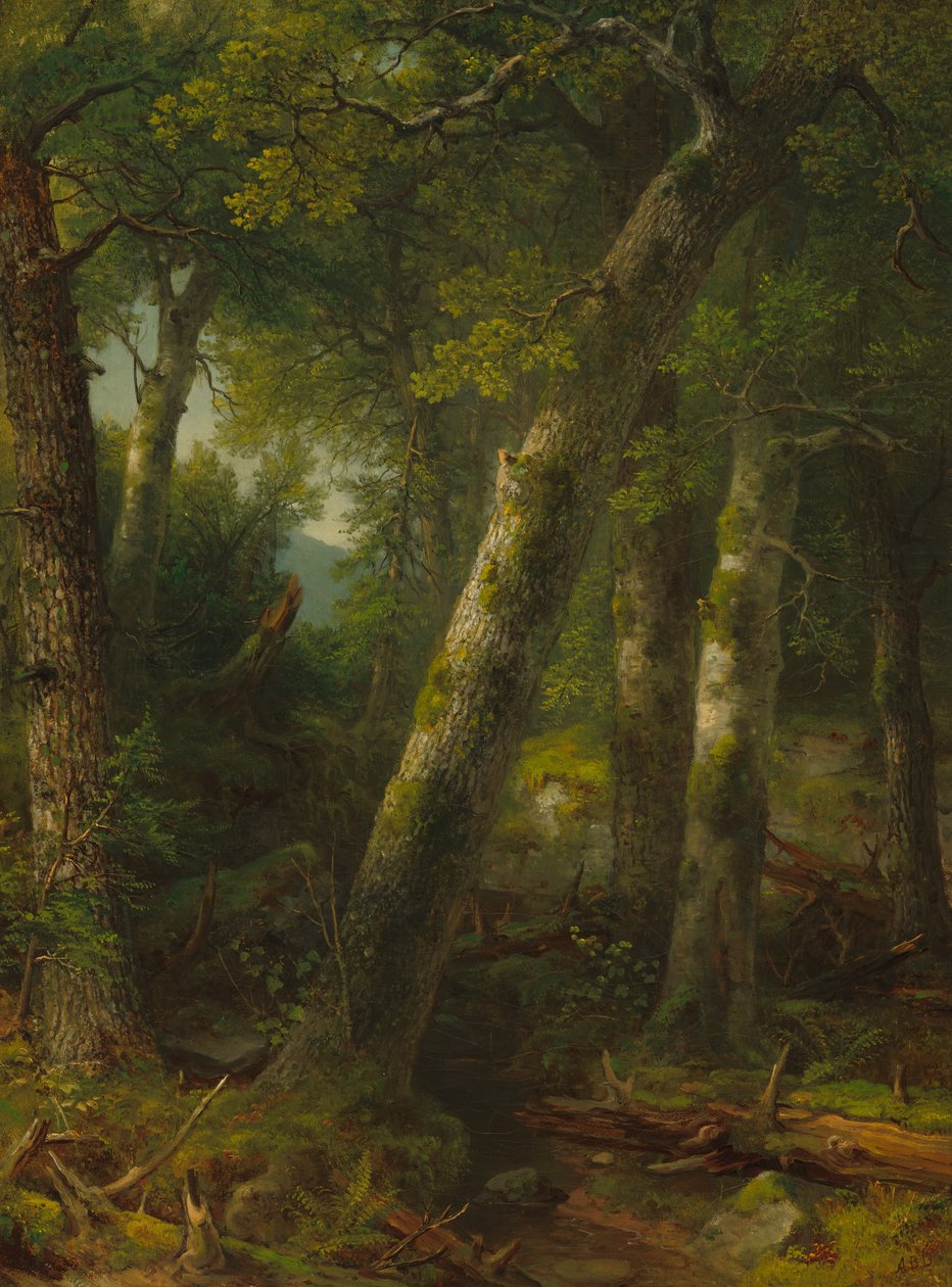 Las w świetle poranka autorstwa Asher Brown Durand