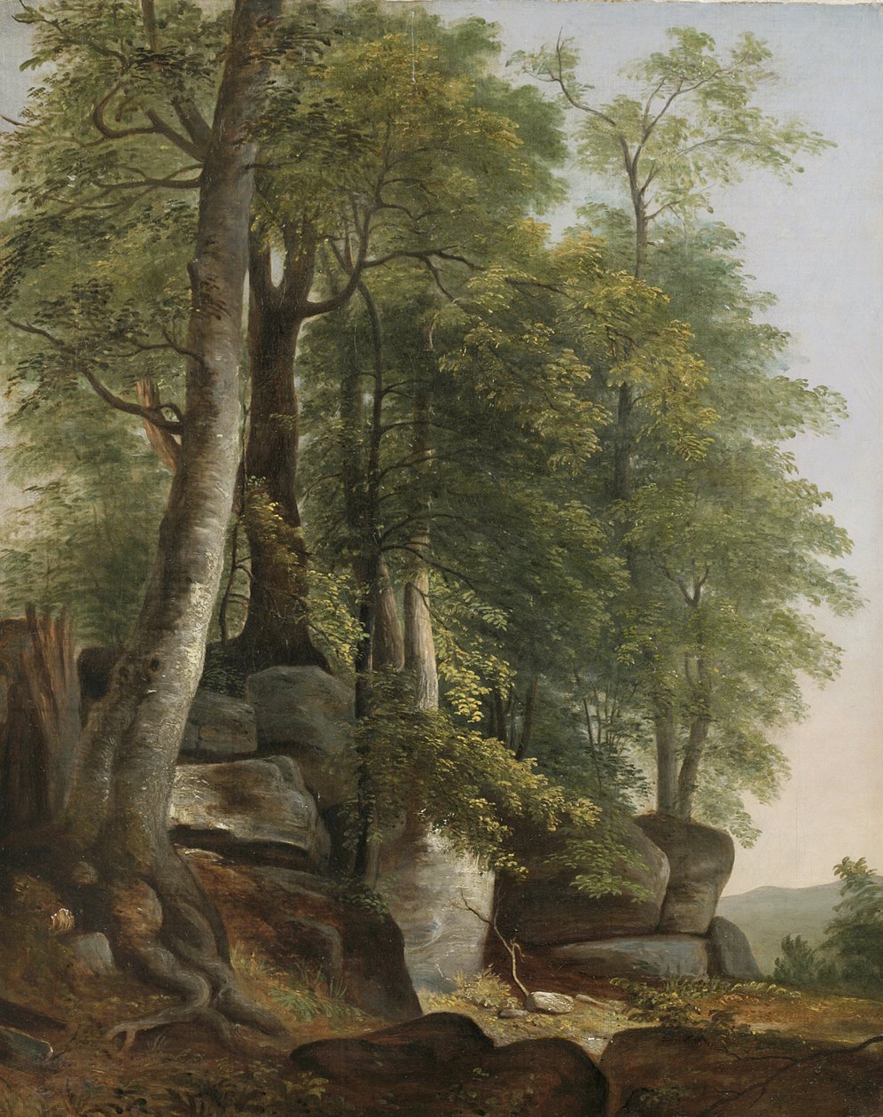 Krajobraz ze skałami i drzewami, ok.1845 autorstwa Asher Brown Durand