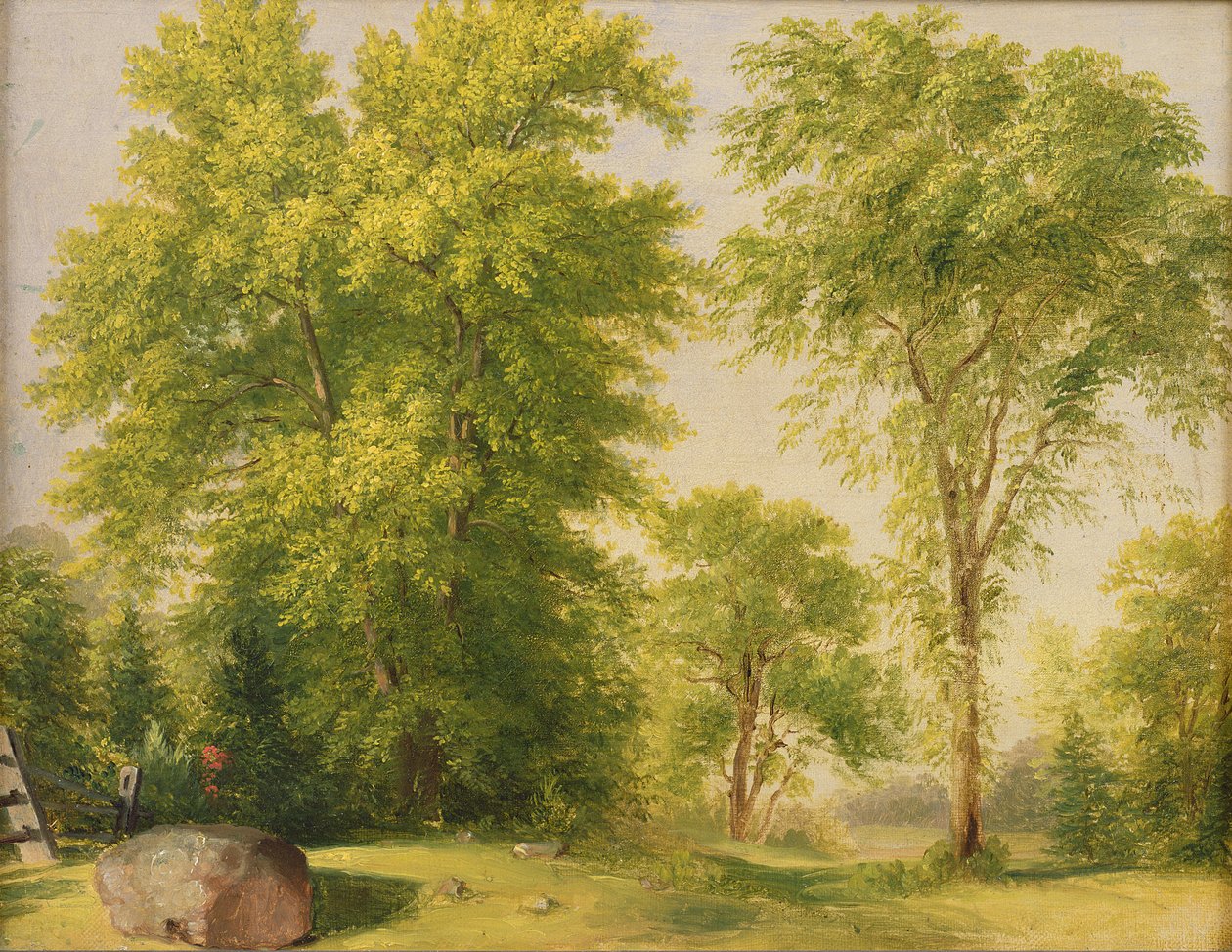 Badanie z Nature, Hoboken, New Jersey, c.1834 autorstwa Asher Brown Durand