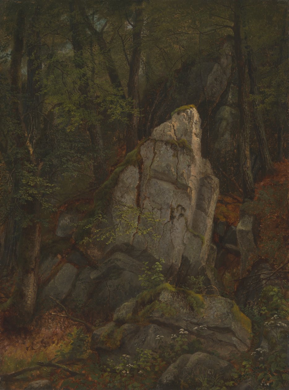 Studium skał w wąwozie Pearsona, połowa lat pięćdziesiątych XIX wieku. autorstwa Asher Brown Durand