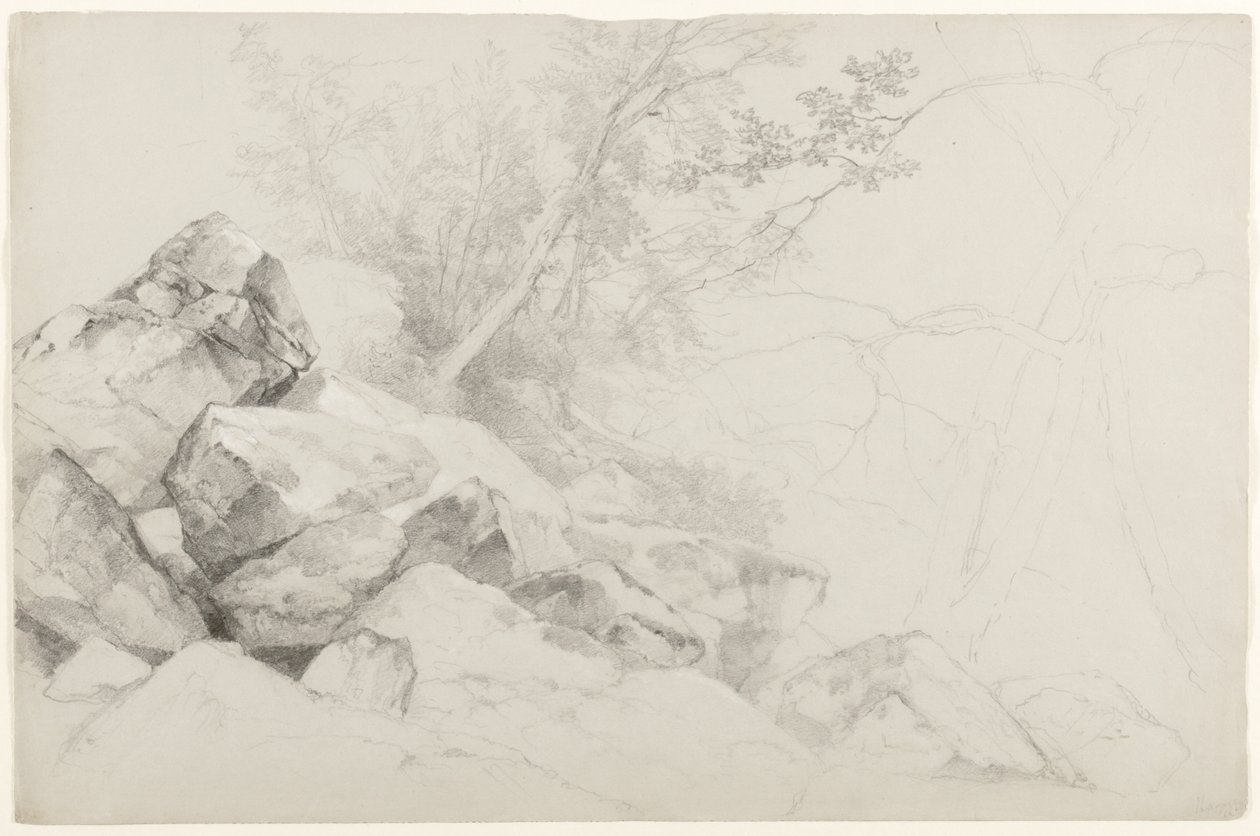 Study of Rocks with Trees, Haga, Lake George, Nowy Jork, 1862 (grafit na szarym papierze) autorstwa Asher Brown Durand