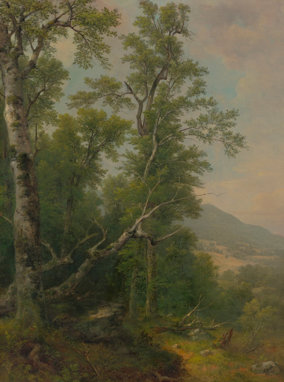 Studium Drzew autorstwa Asher Brown Durand