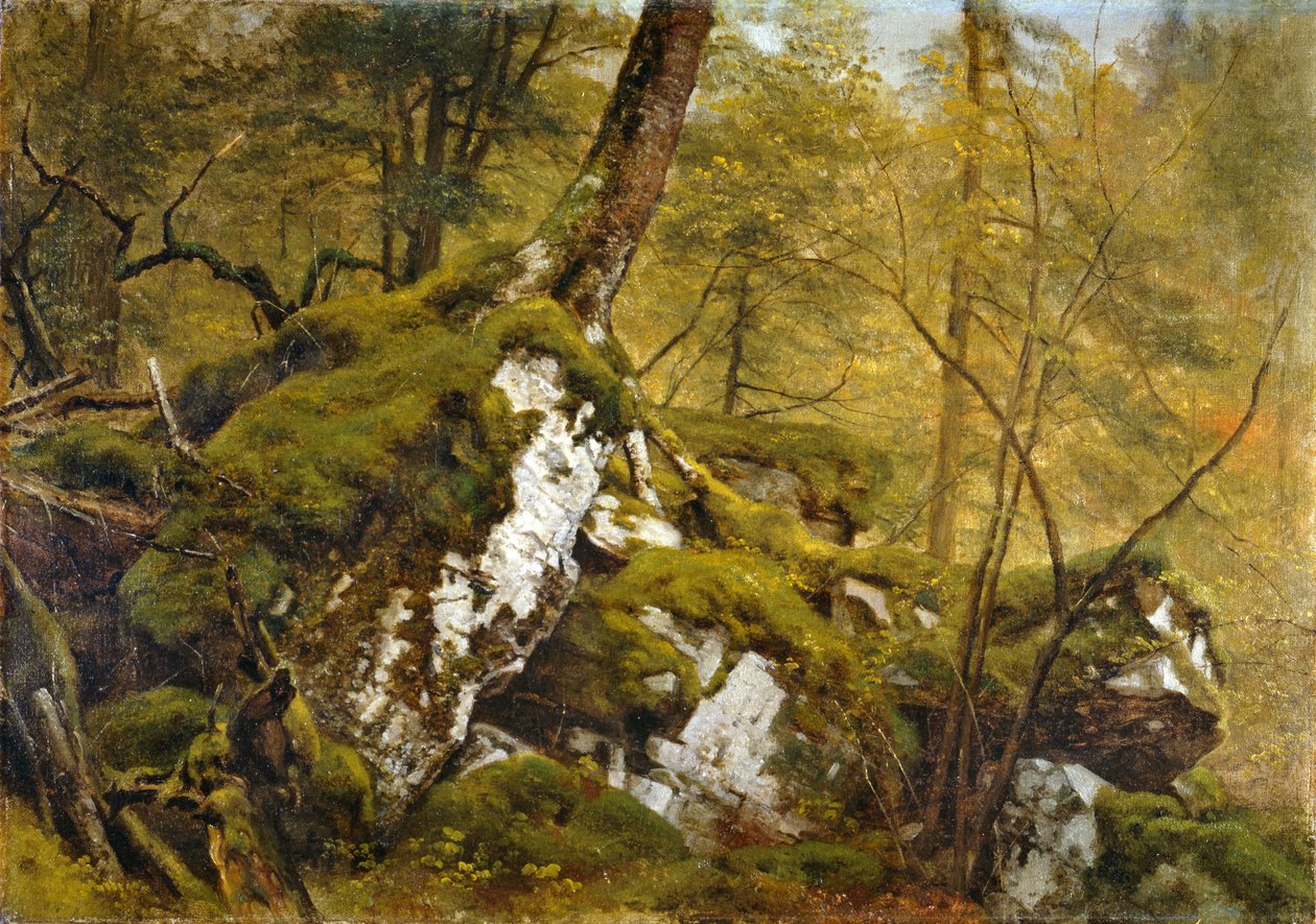 Studium drewnianego wnętrza, ok. 1855 autorstwa Asher Brown Durand