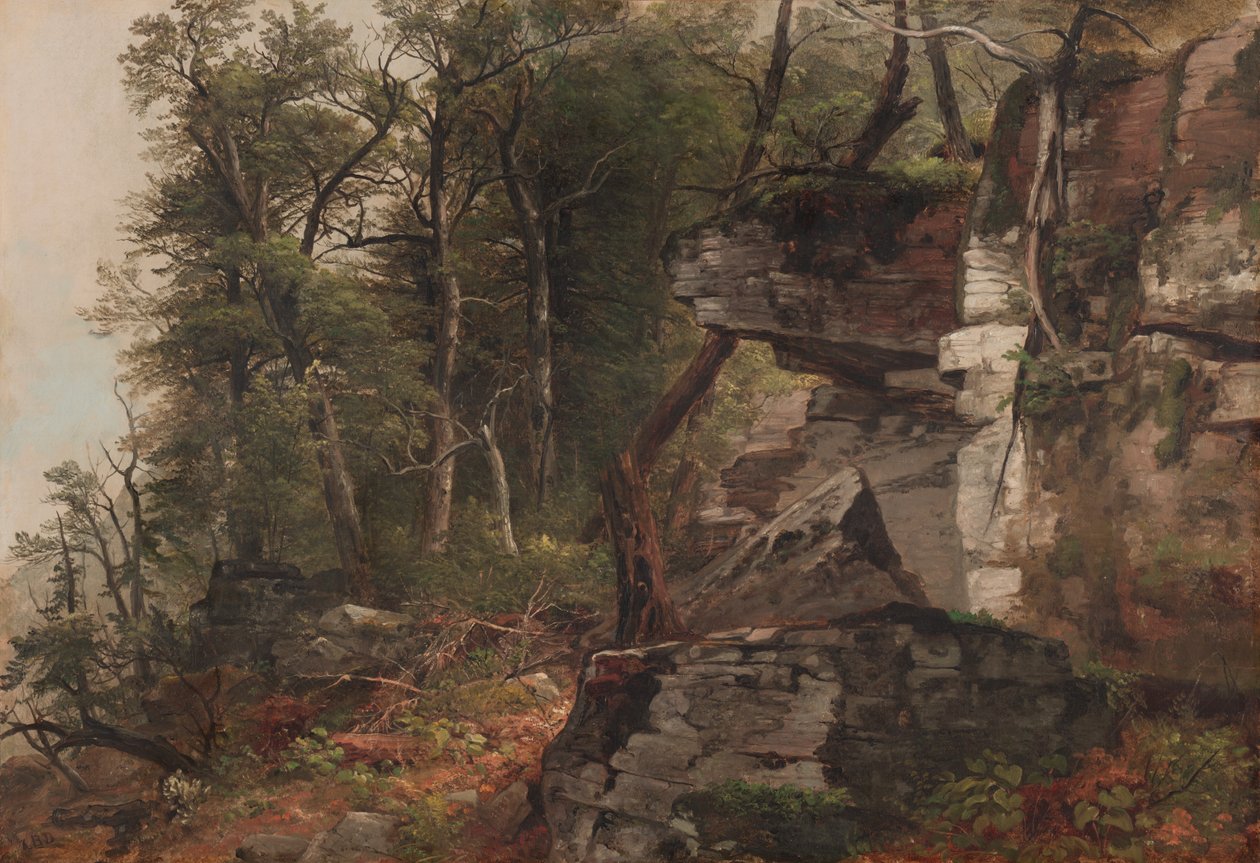 Drzewa na skalistym zboczu autorstwa Asher Brown Durand