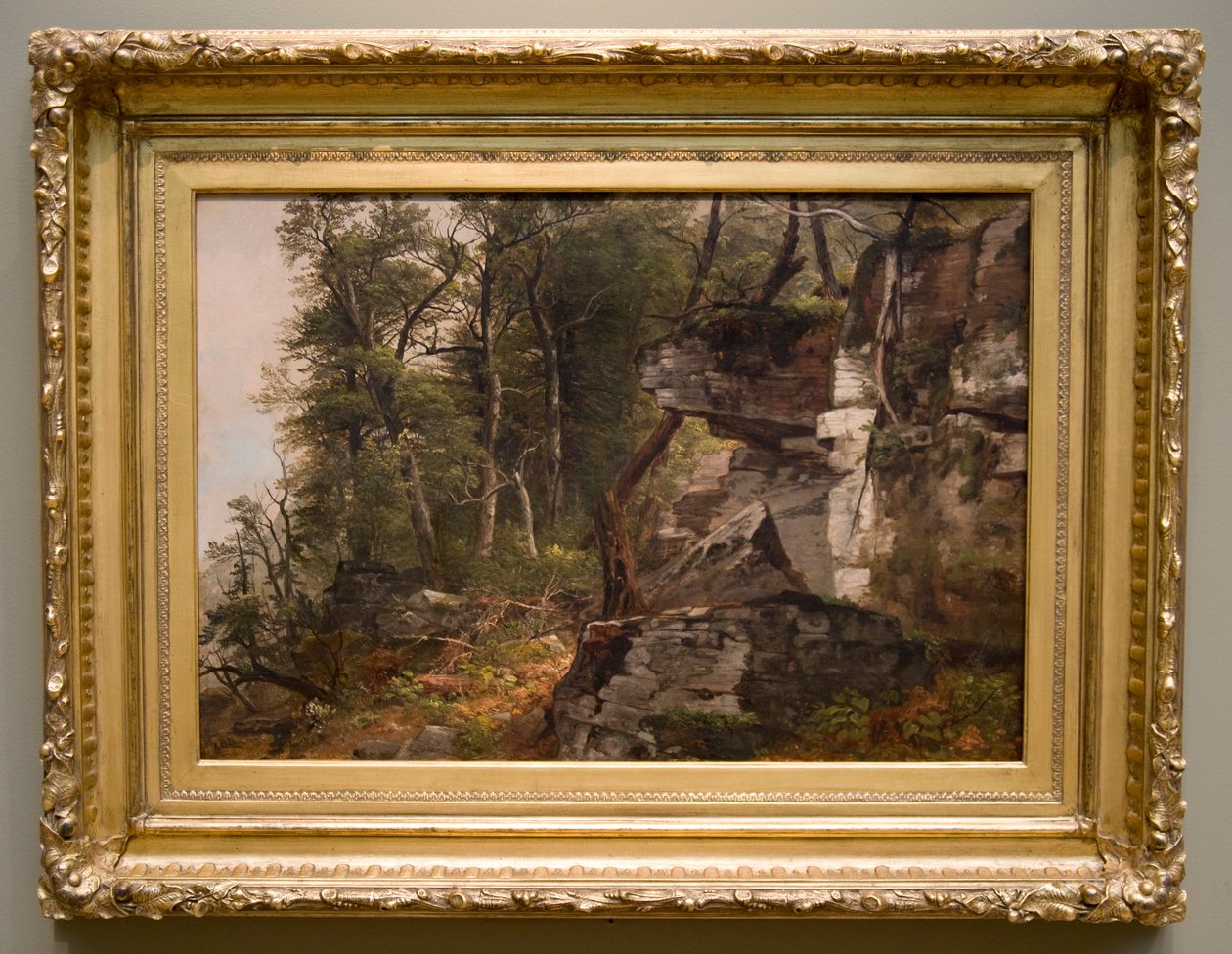 Drzewa na skalistym zboczu 1849. autorstwa Asher Brown Durand