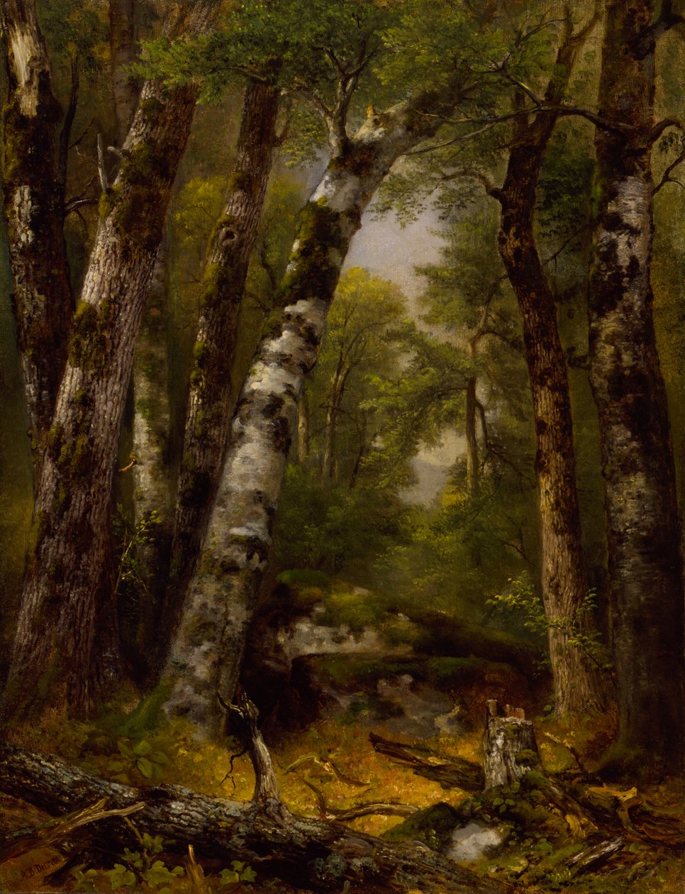 Leśna Glen, ok. 1850-1855. autorstwa Asher Brown Durand