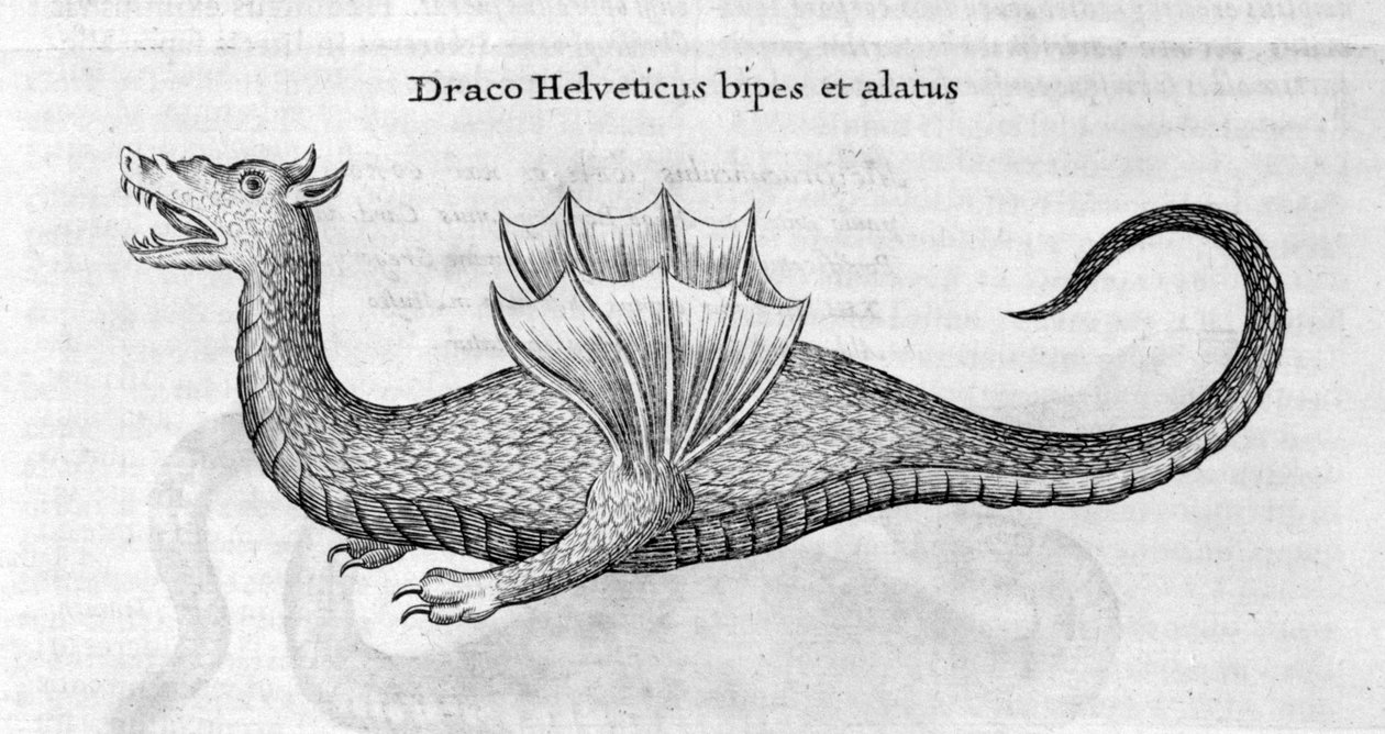 Smok, 1678 autorstwa Athanasius Kircher