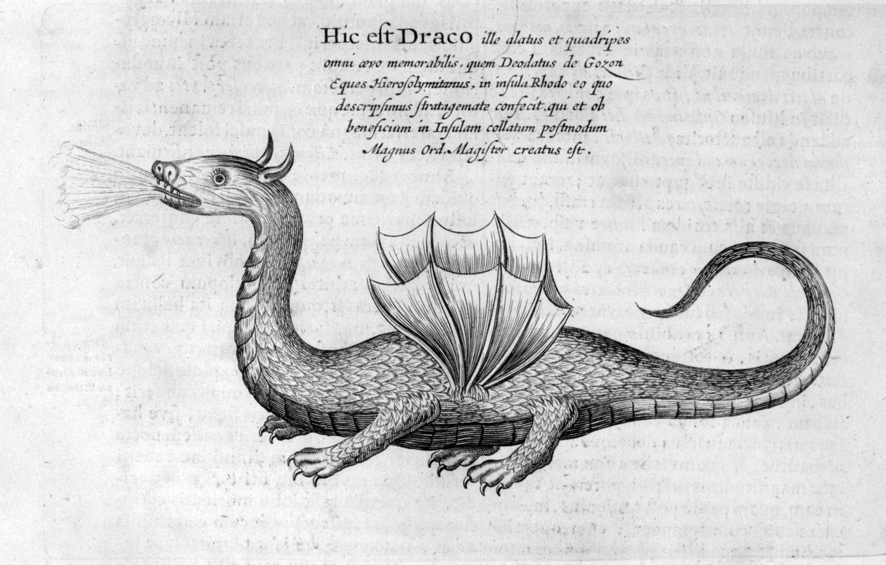 Smok, 1678 autorstwa Athanasius Kircher