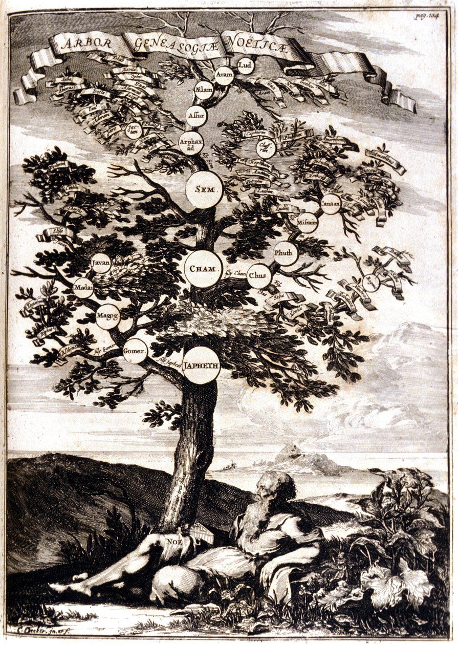 Drzewo genealogiczne Noe d