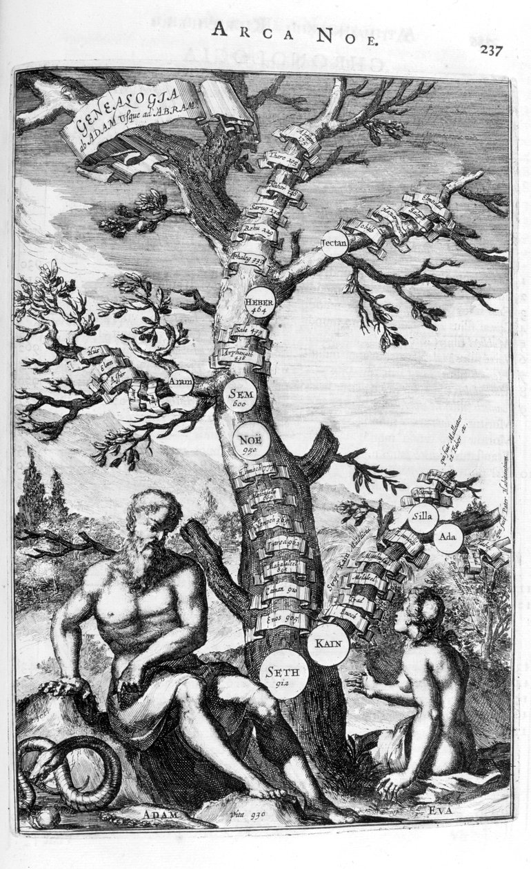 Drzewo genealogiczne Adama, 1675. autorstwa Athanasius Kircher