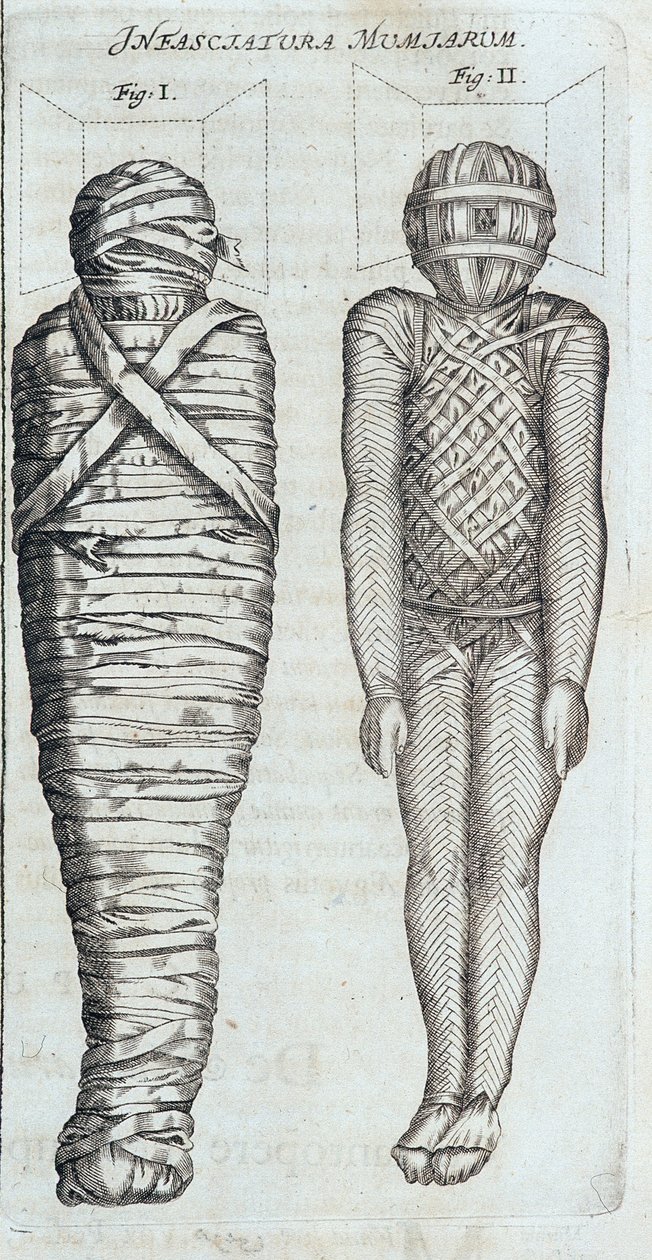 Mumie - w „”Sphynx mystagoga”” Athanase Kircher autorstwa Athanasius Kircher