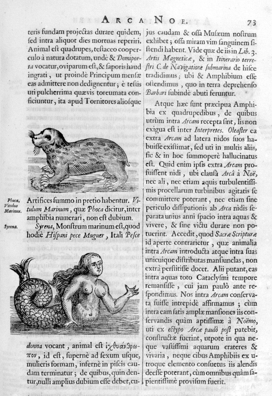 Mityczne stworzenia, 1675. autorstwa Athanasius Kircher