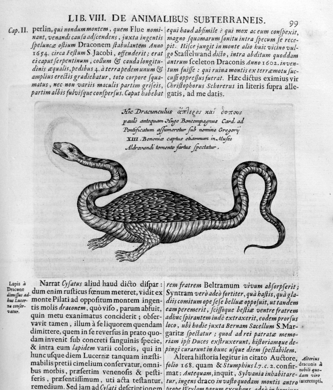 Mały smok, 1678 autorstwa Athanasius Kircher