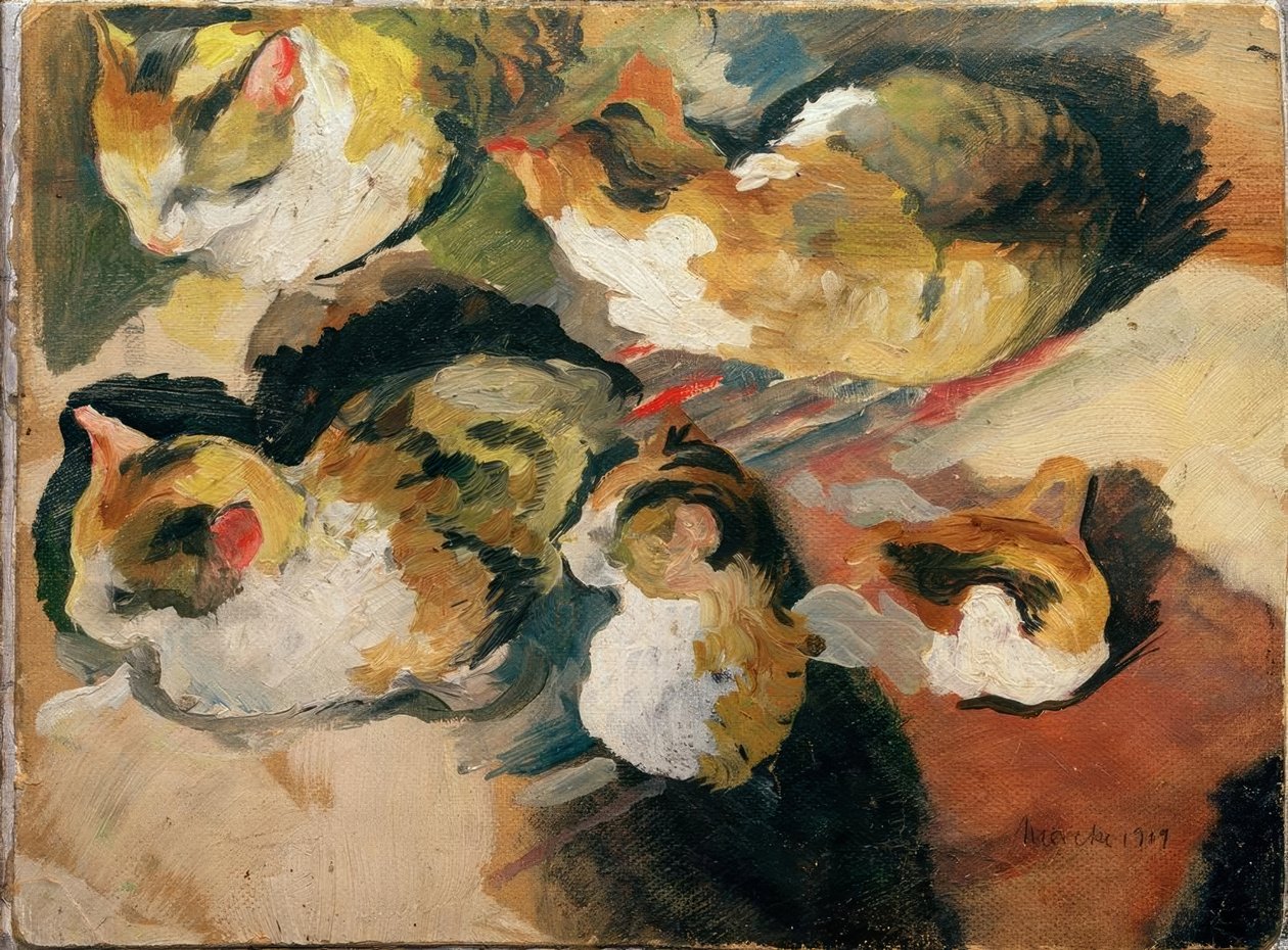 Badania kotów autorstwa August Macke