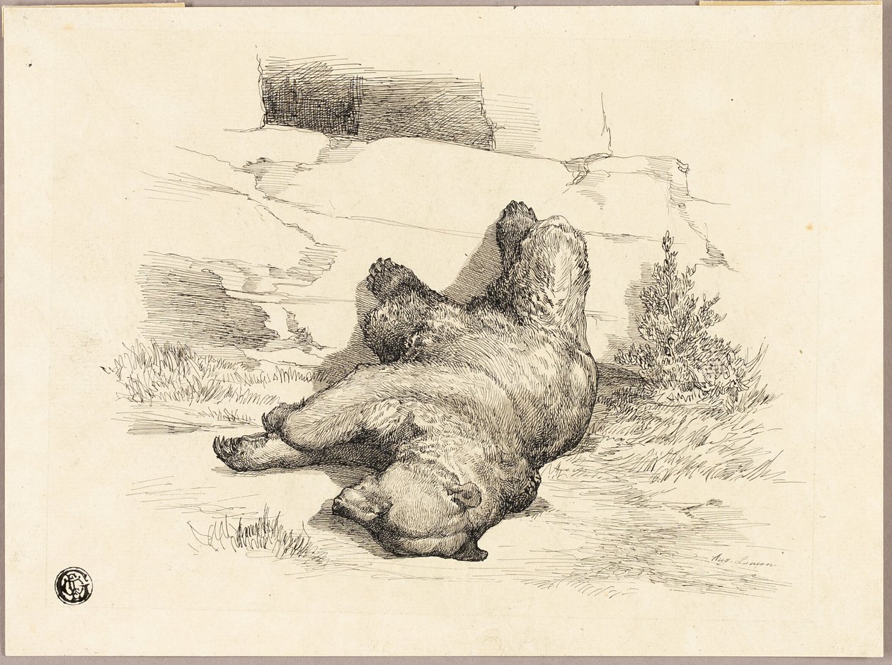 Rosyjski niedźwiedź autorstwa Auguste Andre Lancon