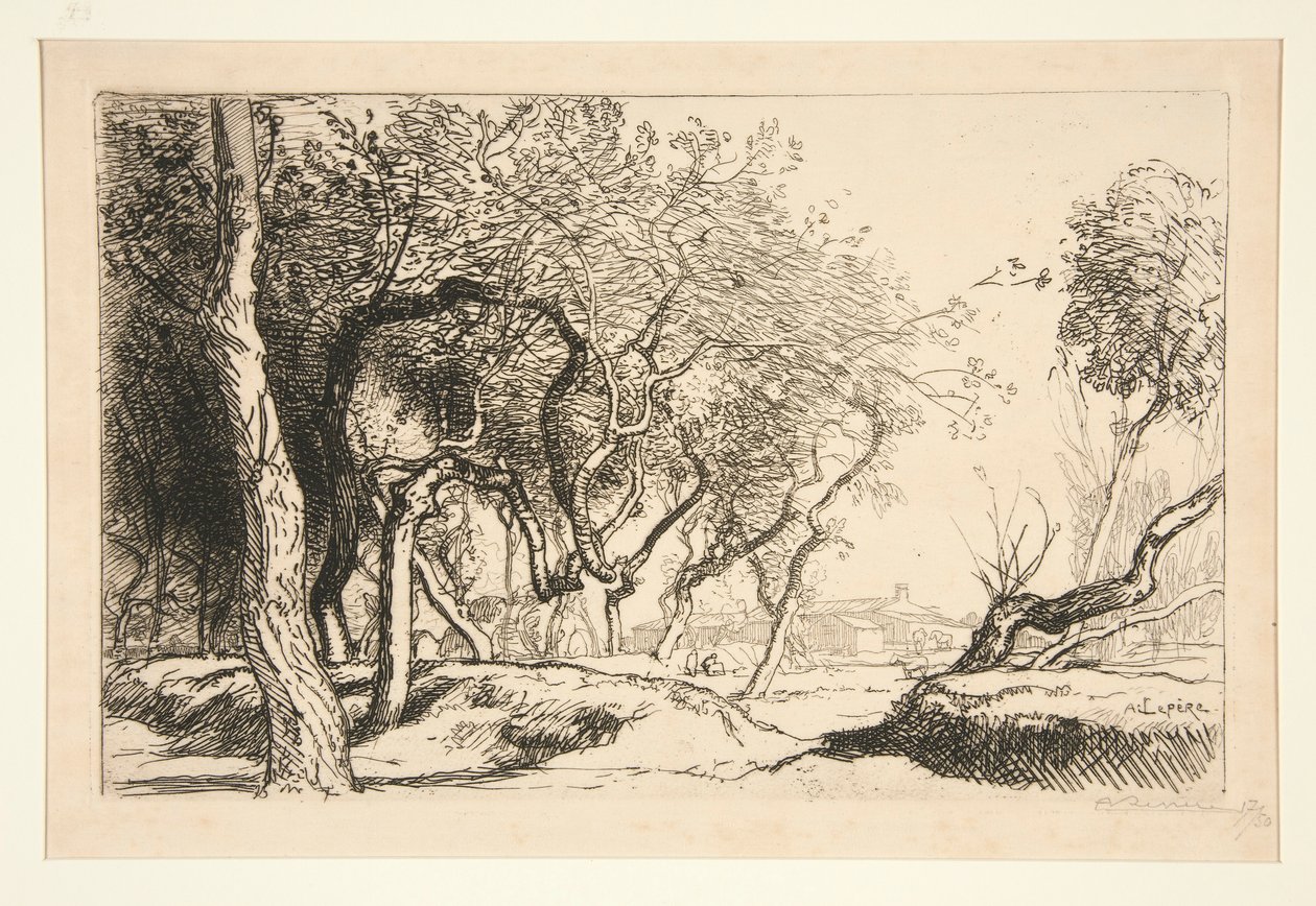 Pokręcone Drzewa (Saint-Jean-de-Monts) autorstwa Auguste Lepere