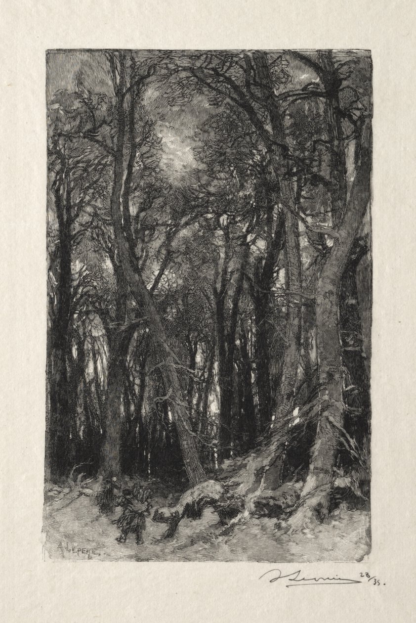 Le Bas-Beau autorstwa Auguste Louis Lepère