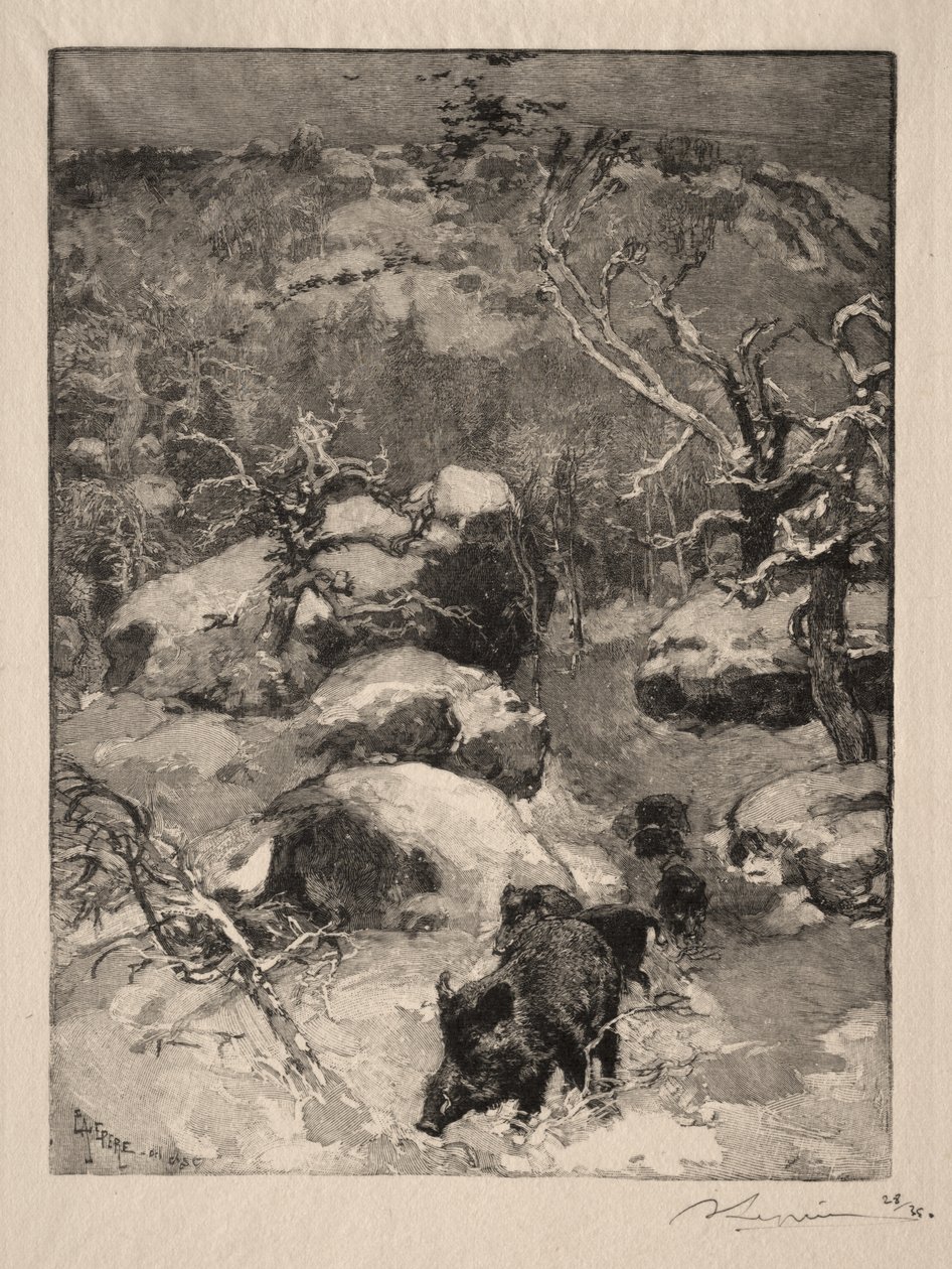 Roche Cuvier Chatillon autorstwa Auguste Louis Lepère