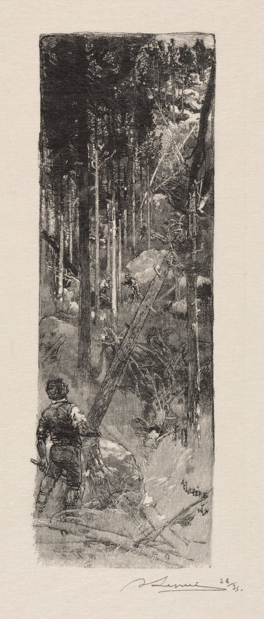 Ścinka sosen autorstwa Auguste Louis Lepère
