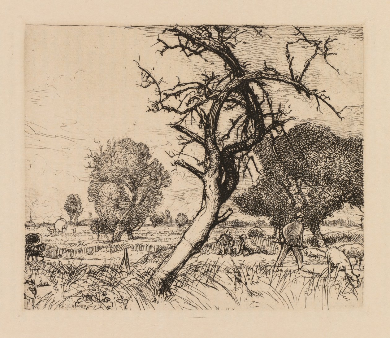 Auguste Lepère: Martwa jabłoń Pikardia, 1913. autorstwa Auguste Louis Lepère