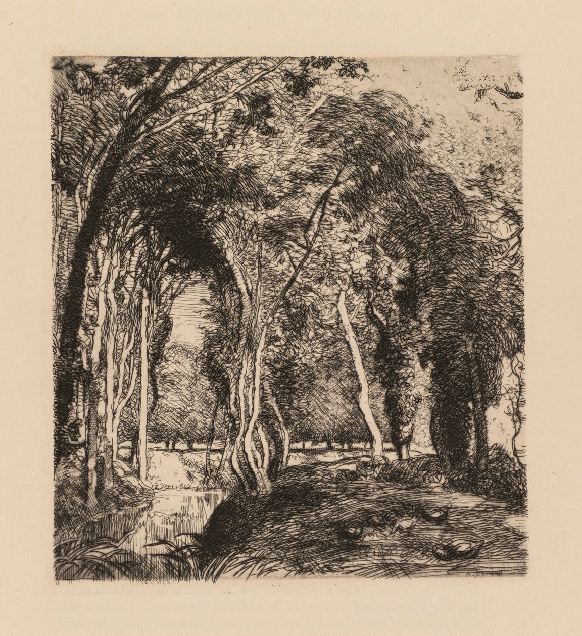 Auguste Lepère: Zarośla w La Rigonette (Vendèe) autorstwa Auguste Louis Lepère