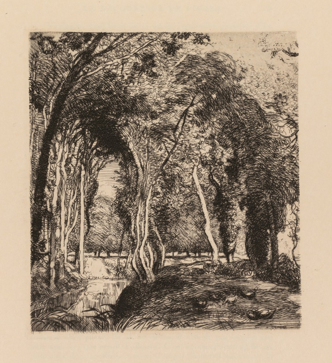 Auguste Lepère: Zarośla w Rigonette Vendèe. autorstwa Auguste Louis Lepère