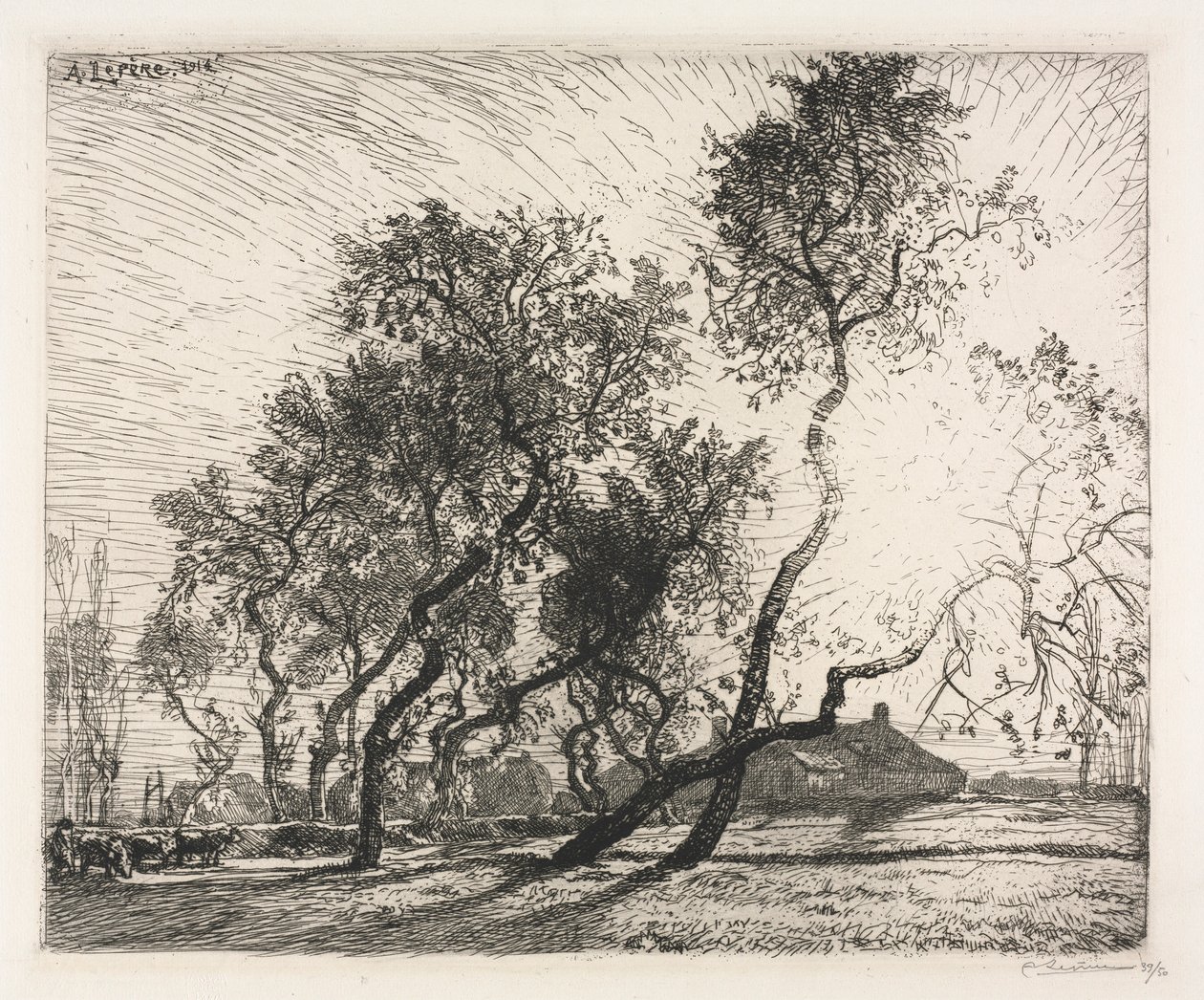 Farma z topolami holenderskimi, 1914. autorstwa Auguste Louis Lepère