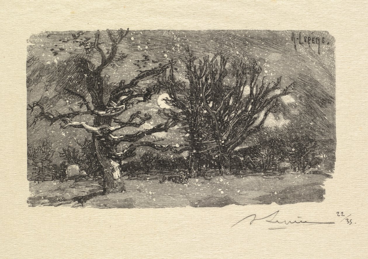 Las Fontainebleau: Au dormoir de Lantara (La Forêt de Fontainebleau: Au dormoir de Lantara) autorstwa Auguste Louis Lepère