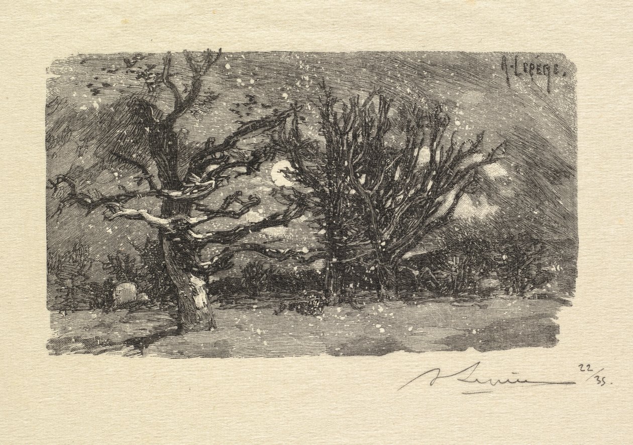 Las Fontainebleau: W akademiku Lantara La Forêt de Fontainebleau: W akademiku Lantara, 1890 autorstwa Auguste Louis Lepère