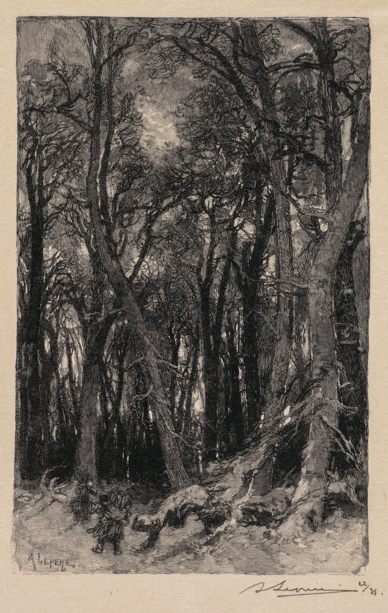 Las Fontainebleau: Bas-Bréau Las Fontainebleau: Le Bas-Bréau, 1890. autorstwa Auguste Louis Lepère