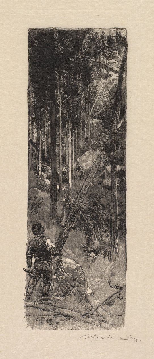 Las Fontainebleau: wycinanie sosen La Forêt de Fontainebleau: Abattage des pines, 1890. autorstwa Auguste Louis Lepère