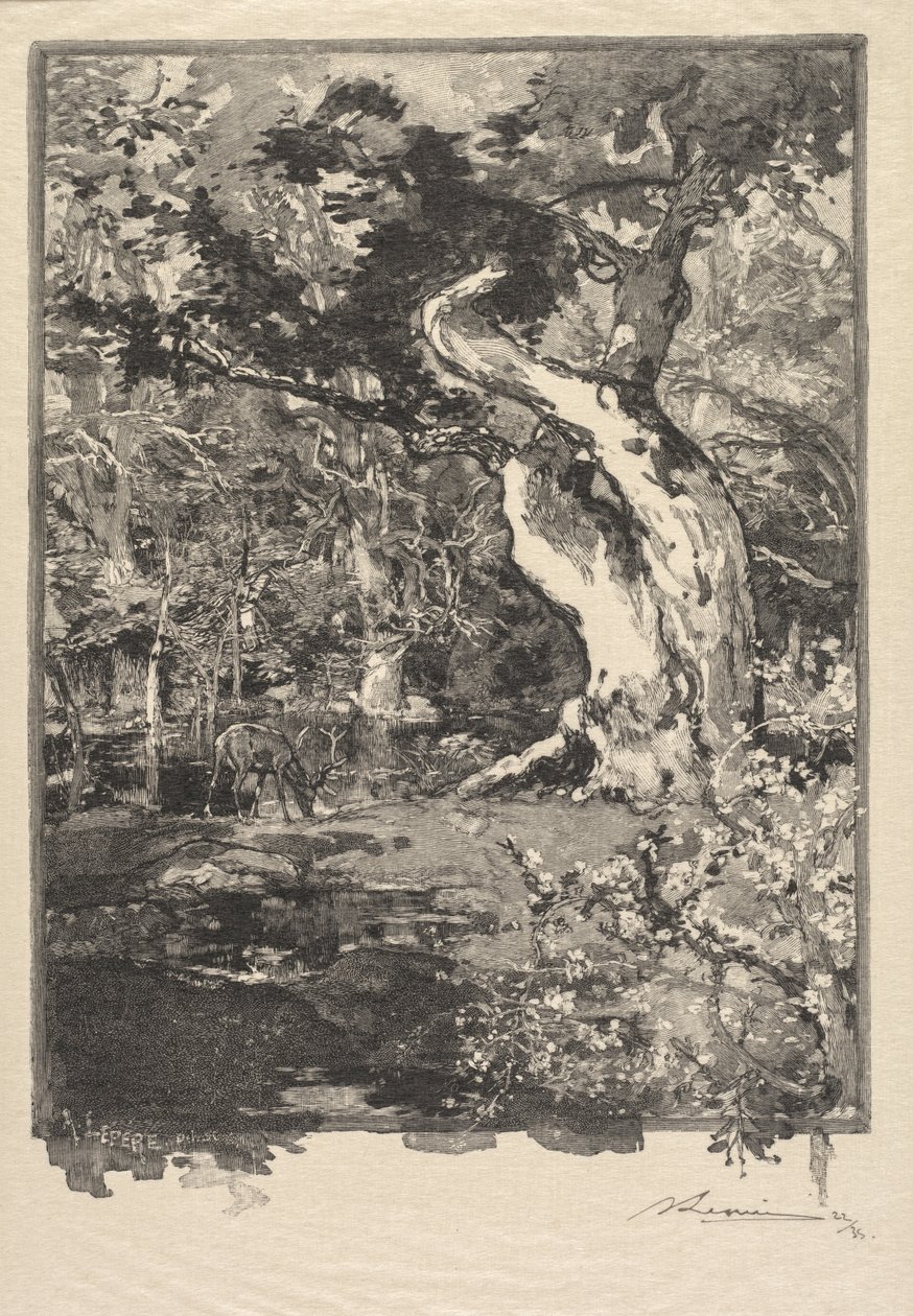 Las Fontainebleau: Le Clovis, Plateau de Bellecroix (Las Fontainebleau: Plateau de Belle-Çroix, le Clovis) autorstwa Auguste Louis Lepère