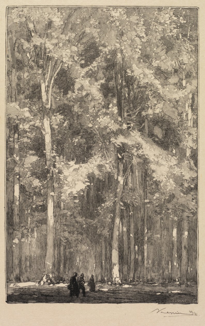 Las Fontainebleau: Poranek, Skrzyżowanie Szlaku Fortów Marlotte (La Forêt de Fontainebleau: Le Matin, Carrefour des Fort de Marlotte) autorstwa Auguste Louis Lepère
