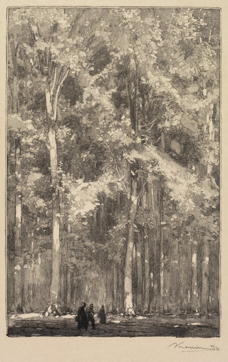 Las Fontainebleau: Poranek, Skrzyżowanie Szlaku Fortów Marlotte..., 1890. autorstwa Auguste Louis Lepère
