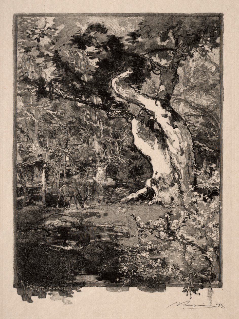 Clovis, Plateau de Bellecroix, 1890. autorstwa Auguste Louis Lepère