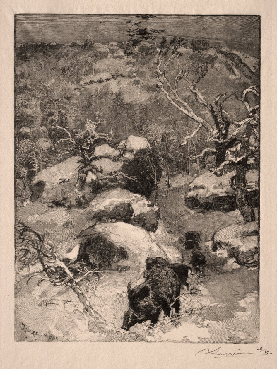 Roche Cuvier Chatillon, 1887. autorstwa Auguste Louis Lepère