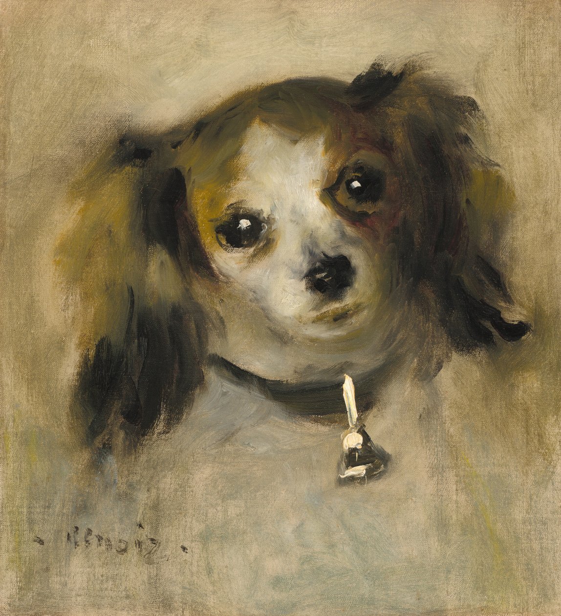 Głowa psa autorstwa Auguste Renoir