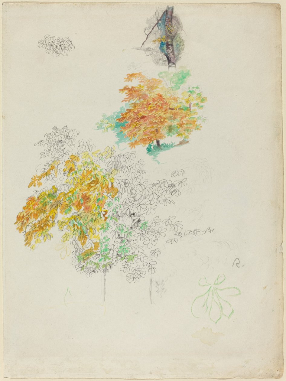 Badania drzew autorstwa Auguste Renoir