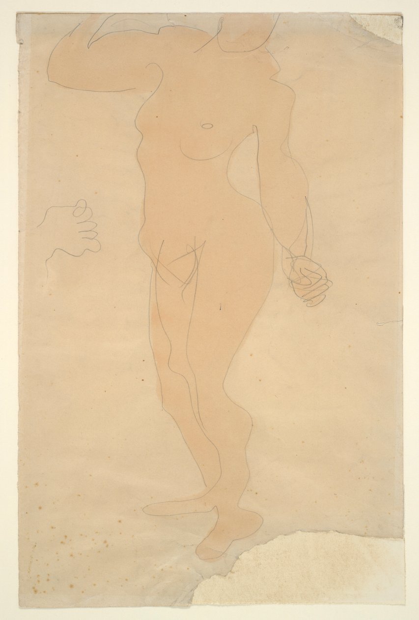 Nagość stojąca (głowa częściowo odcięta brzegiem papieru) autorstwa Auguste Rodin