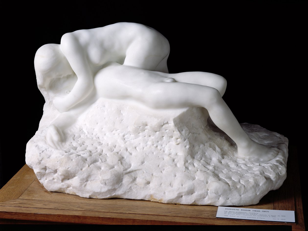 Śmierć Adonisa, po 1888 (marmur) autorstwa Auguste Rodin