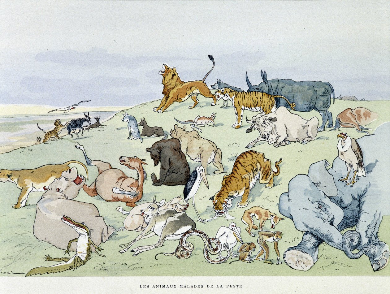 Zwierzęta chore na dżumę „”Les Fables de la Fontaine””, ch. Auguste Vimar (1851-1916), Tours, w A, Mame & Son autorstwa Auguste Vimar