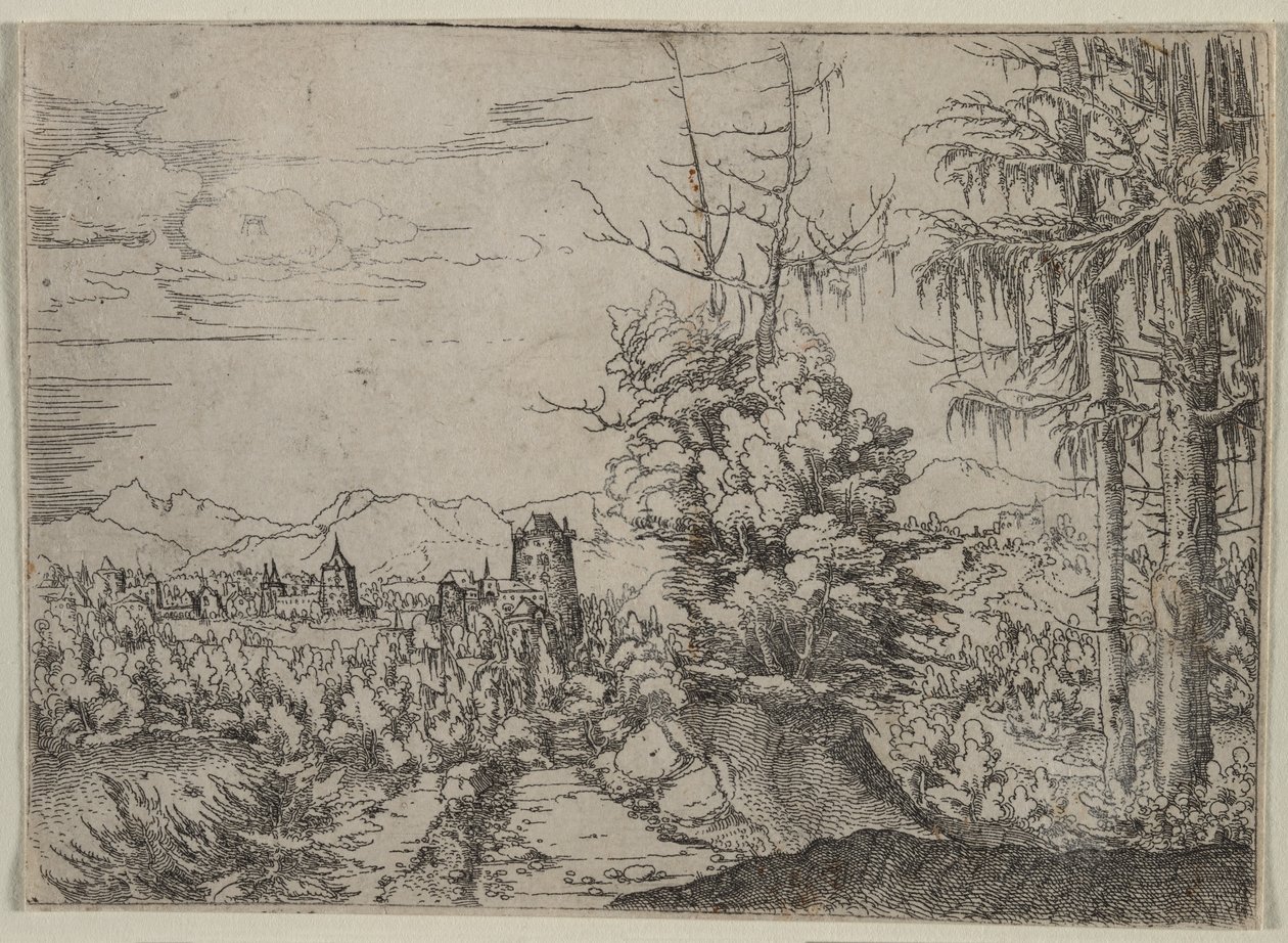  autorstwa Augustin Hirschvogel