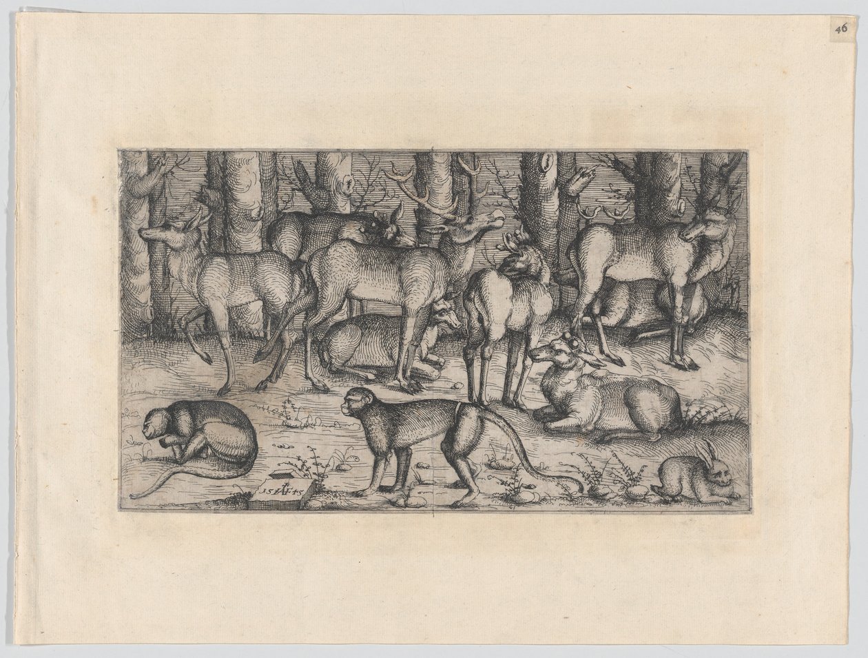 Jelenie w lesie, 1545. autorstwa Augustin Hirschvogel