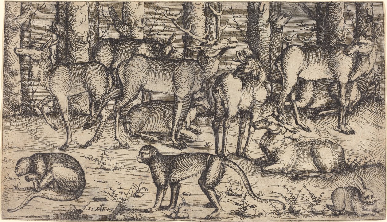 Jelenie w lesie, 1545. autorstwa Augustin Hirschvogel