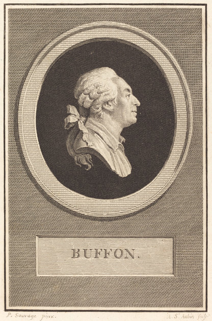 Buffon autorstwa Augustin de Saint Aubin after Piat Joseph Sauvage