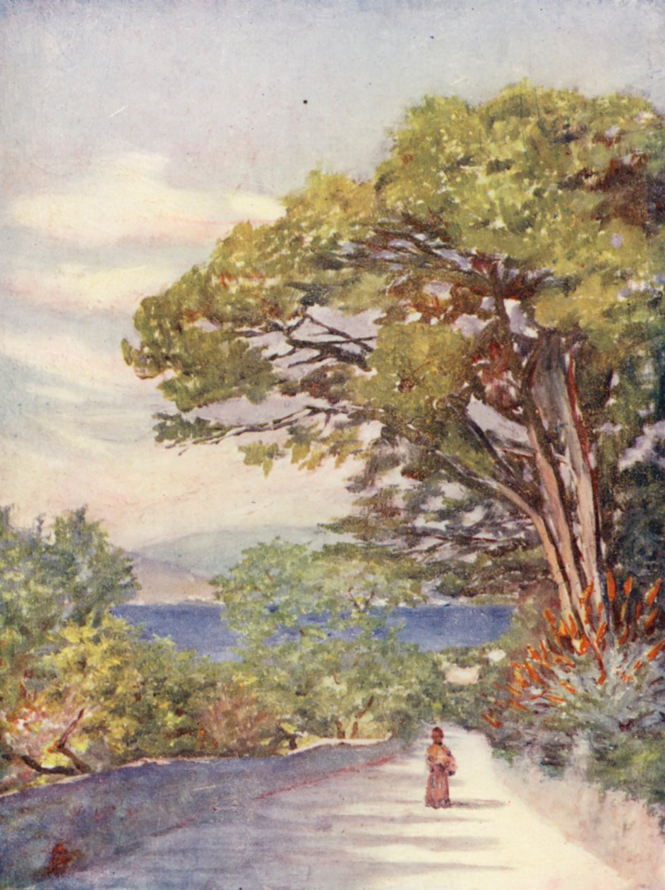 Droga w Gibraltarze (kolorowa litografia) autorstwa Augustine Fitzgerald