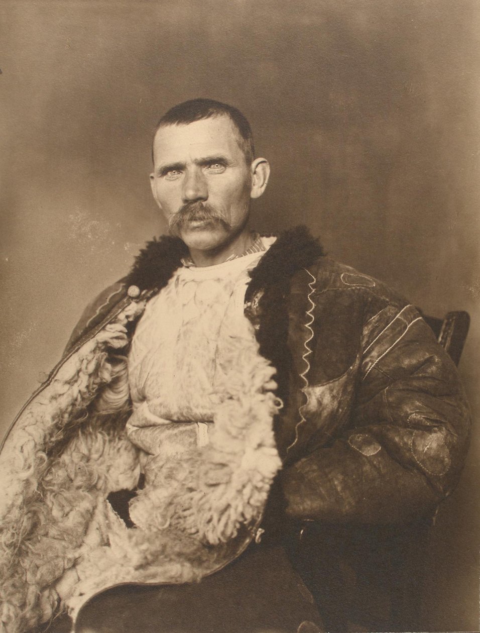Owczarek rumuński, ok. 1910 autorstwa Augustus F. Sherman